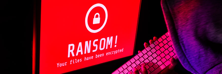 What are the different types of ransomware?